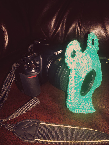 Frog Lens Buddy photo 2