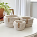 The Basic Basket 081 photo 3