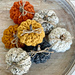 Mini Ribbed Pumpkins 086 photo 4