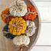 Mini Ribbed Pumpkins 086 photo 3