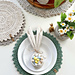 Picot Placemat & Doily Set 071 photo 3