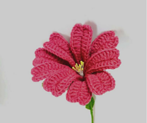 3D Lewisia Flower
