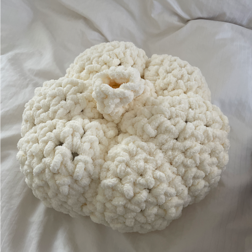 Garlic Bag Pute (Uten oversettelse av navn) - Amy Lai