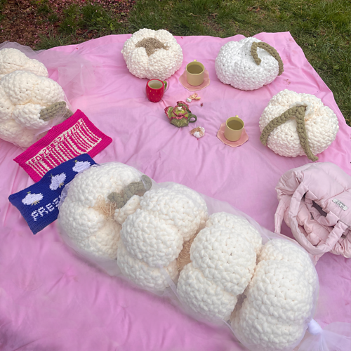 Garlic Bag Pute (Uten oversettelse av navn) - Amy Lai