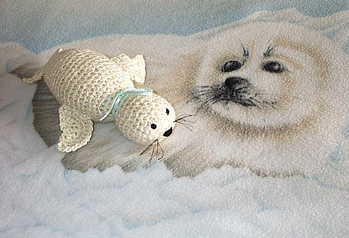 Baby Harp Seal photo 2