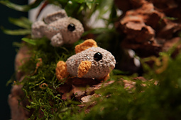 Meet Flippy! :fish: Der perfekte Begleiter – schnell gehäkelt, supercute und bereit, dein nächstes Projekt zu werden. :sparkles: #SlippyStitches