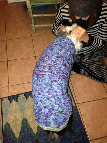 Hundepulli Maxi - dog sweater photo 5