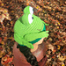 Hoppy Happy Frog Hat pattern 