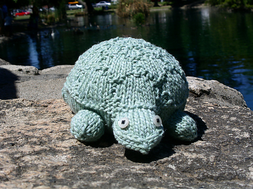 Trudie the Turtle photo 1