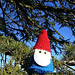 Simply a Gnome! photo 3