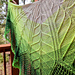 Julia pattern
