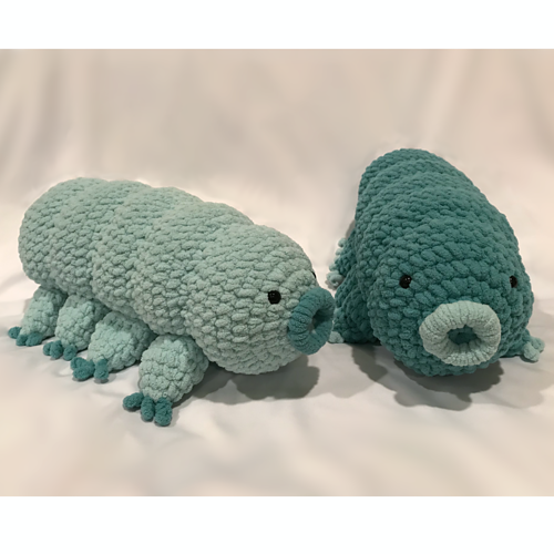 Giant Tardigrade (Water Bear)