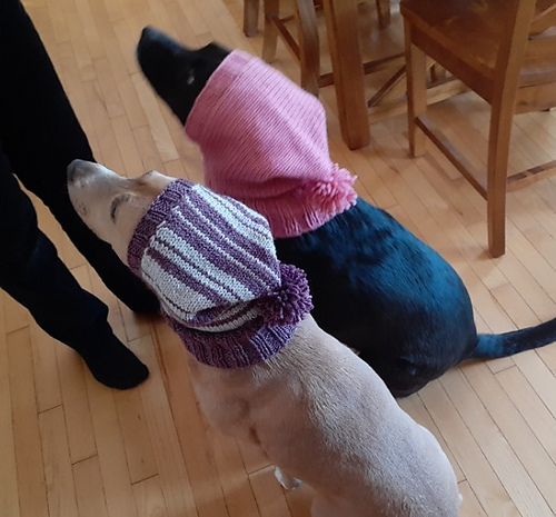 Doggo Hood Formula
