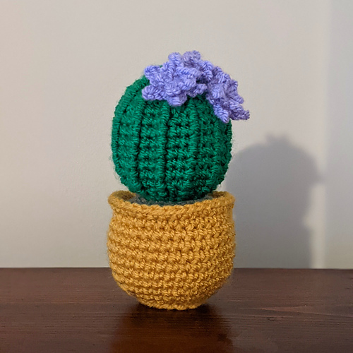 Barrelkaktus - byspookystrawbs