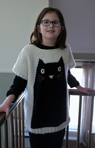 professor meow sweater