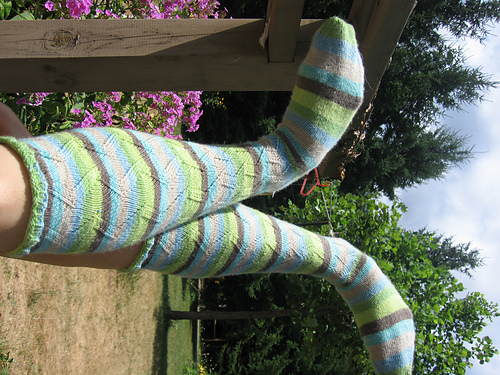 Vibbles Kneesocks photo 1