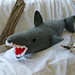 Fergal 'Shark'ey photo 3