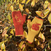 Winter Apples gloves pattern 