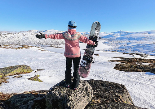 Fjellgenseren - Stine Oksvold