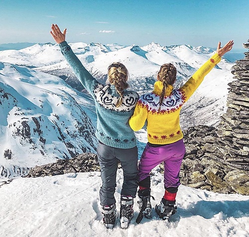 Fjellgenseren - Stine Oksvold