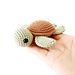 Turtle photo 4