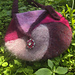 Pinwheel Purse pattern