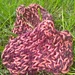 Boogie Baby Booties pattern 