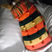 Dog Sweater Stripes and Bobbles pattern 