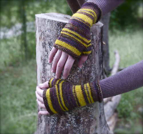 Bee's Knees Fingerless Gloves photo 5