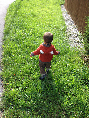 Willy den slu foxen - 