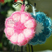 Bubble bubble dishcloth pattern