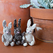 Rag Jackrabbit pattern