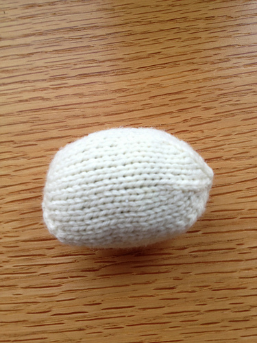 Egg to Turtle photo 4
