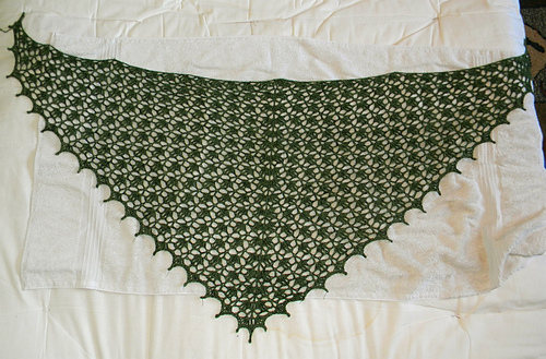 Elise Shawl photo 5