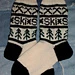 Ski Season Socks pattern 