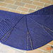 Branching Out Shawlette photo 3