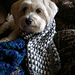 Autumn Amore Scarf photo 3
