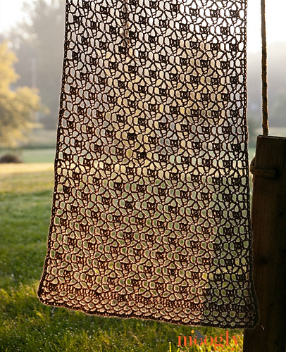 Alpaca Your Wrap photo 1