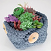 Button Up Basket pattern 