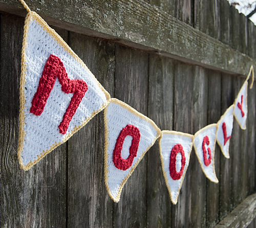 Perfect Party Pennant Garland photo 1