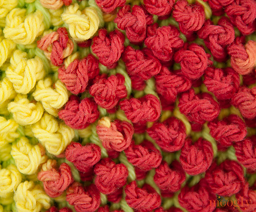 Tunisian Pebbles Dishcloth photo 1