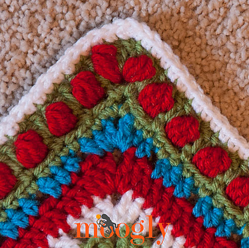 Polka Dot Border photo 3
