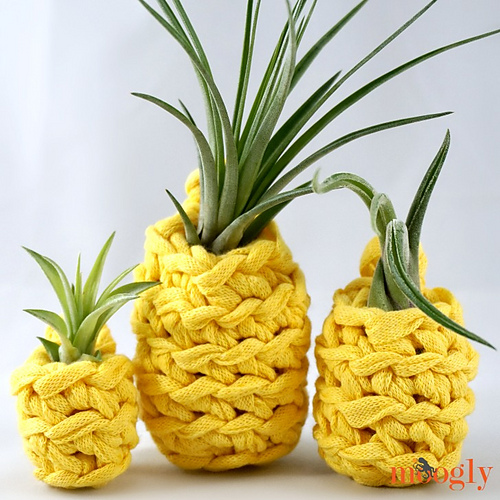 Lucky Pineapple Plant Hangers photo 1