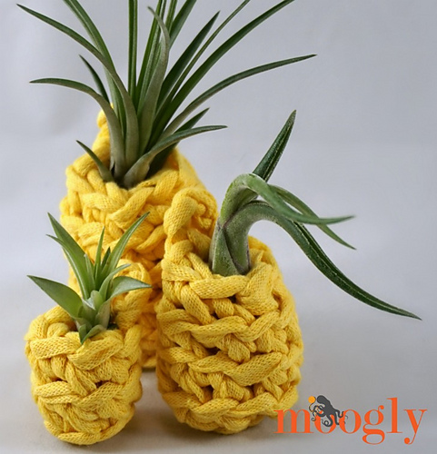 Lucky Pineapple Plant Hangers photo 2