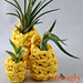 Lucky Pineapple Plant Hangers photo 3