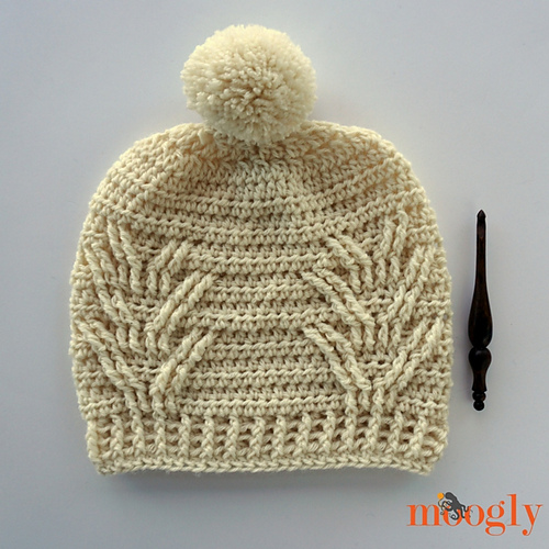 Staghorn Slouch & Messy Bun Hat photo 1