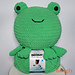 Frog Squish photo 3