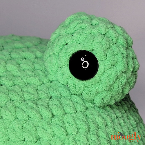 Frog Squish photo 4