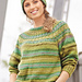 # 26 Pullover mit Rundpasse pattern 