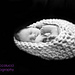 Simple Baby Cocoon Photo Prop photo 3